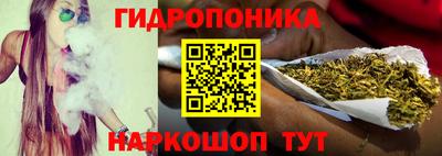 гидра Беслан