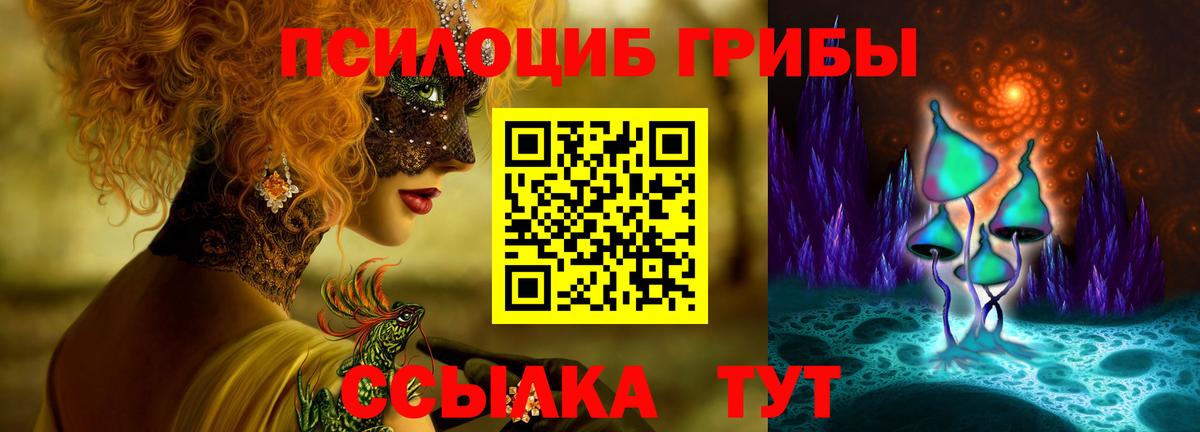 магазин    Вход с VPN  Калач-на-Дону  Галлюциногенные грибы Cubensis 
